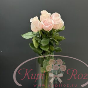 rozy-poshtuchno-011