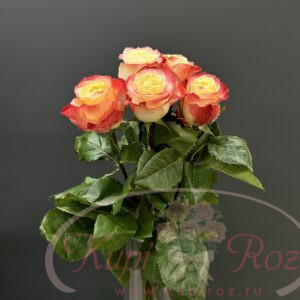 rozy-poshtuchno-012